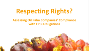 Read more about the article Assessing Oil Palm Companies Compliance with FPIC Obligations